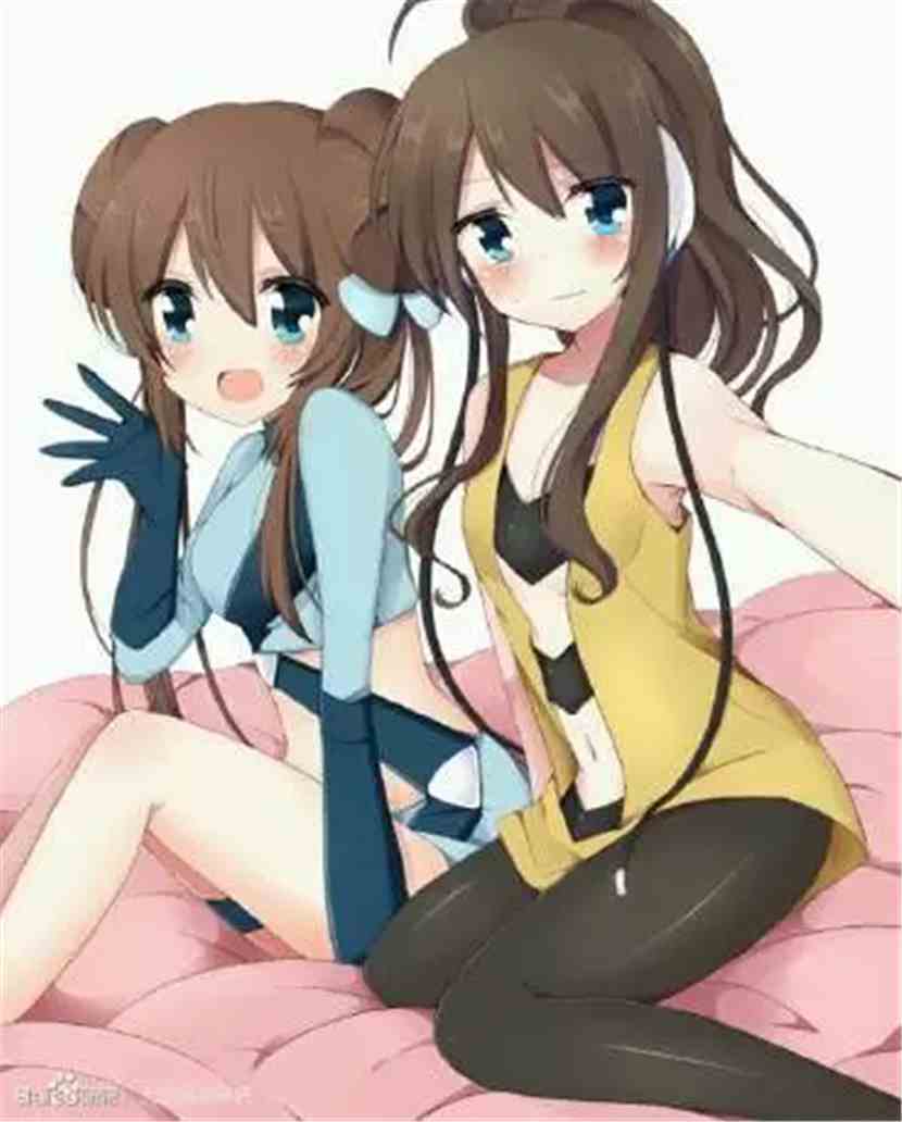 宠物小精灵之霸王:虚伪之人 宠物小精灵之霸王:虚伪之人