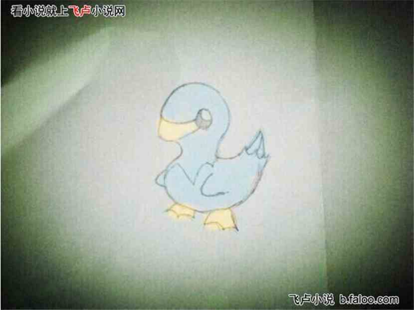 宠物小精灵之霸王:013水灵鸭 宠物小精灵之霸王:013水灵鸭