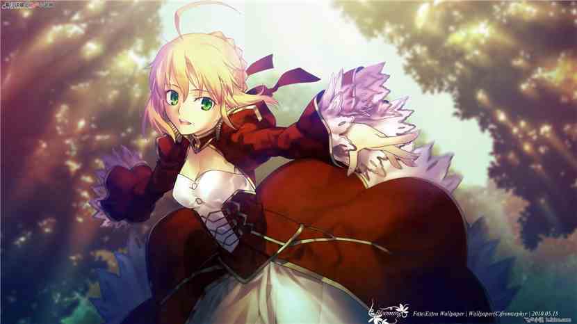 姓名:尼禄・克劳狄乌斯 master:秦风 筋力:A 耐久:A 敏捷:A 魔力:A 幸运:B 宝具:EX 对魔力〔C):无效化以二工程以下咏唱引起的魔术。不能防御大魔术、礼仪咒法等,大规模的魔术。由于她本身毫无对魔力,所以对魔力低到能号称Saber职阶不应有。 皇帝特权〔EX〕:本来不能持有的技能,也可以因为本人的主张而能在短时间内获得。符合的技能是骑乘、剑术、艺术、统率力、谋略等。Rank是A以上的情况下,连肉.
