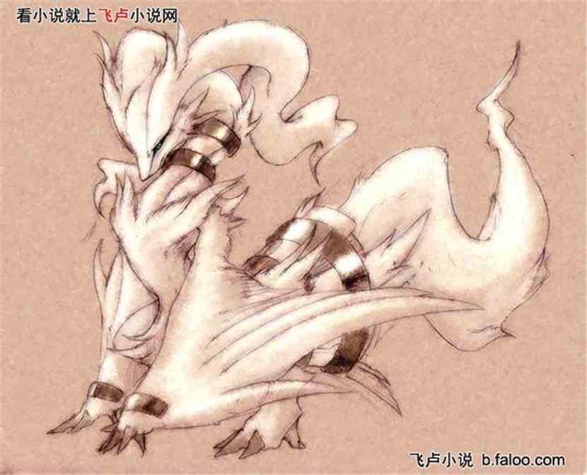 神奇宝贝之分身传奇:呵呵...... 神奇宝贝之分身传奇:呵呵......
