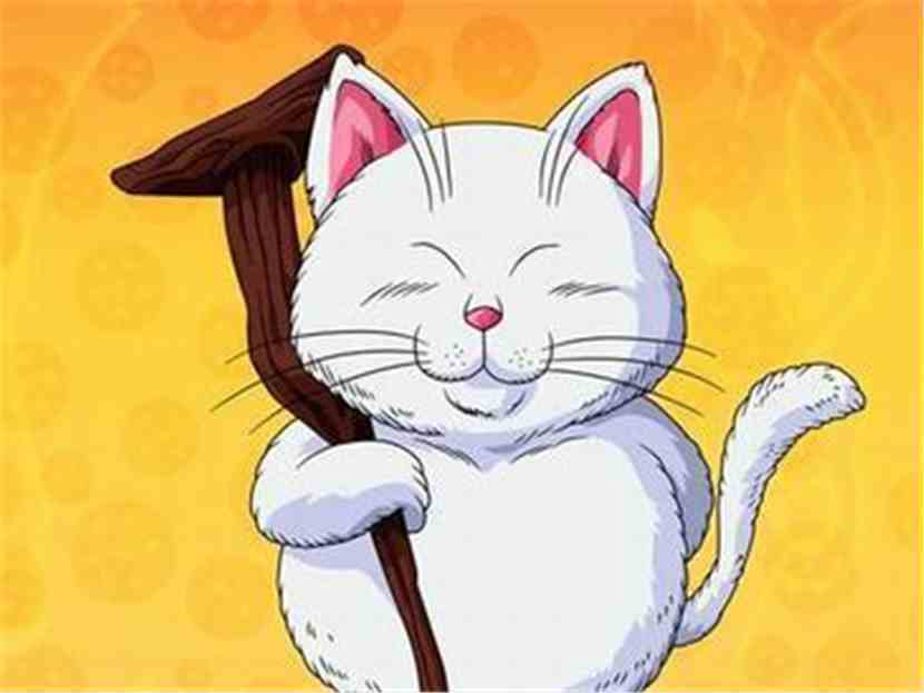 无限之命运空间 猫仙人
