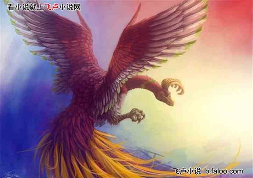 宠物小精灵之魔方传说:凤王 宠物小精灵之魔方传说:凤王