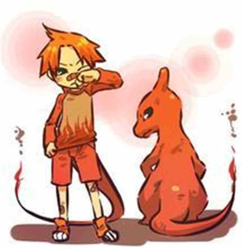 神奇宝贝大战数码宝贝:火恐龙图文