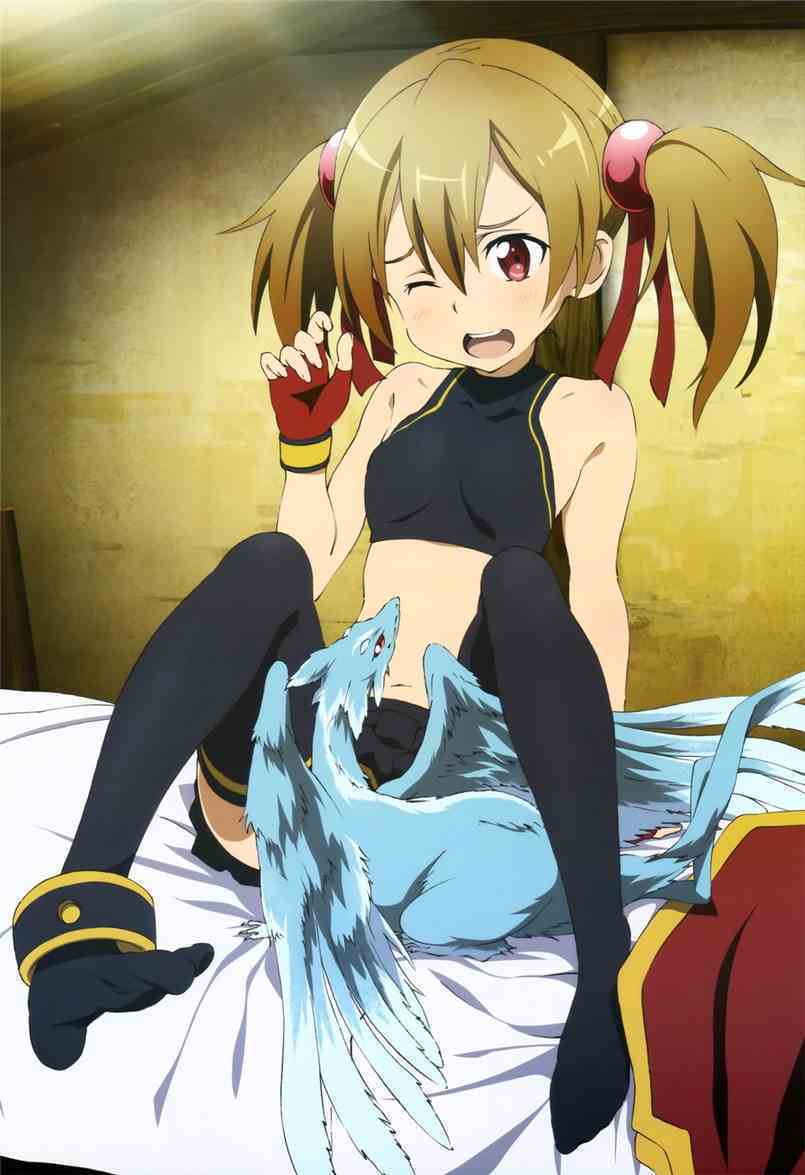 二次元之神级偷窃术刀剑神域西莉卡