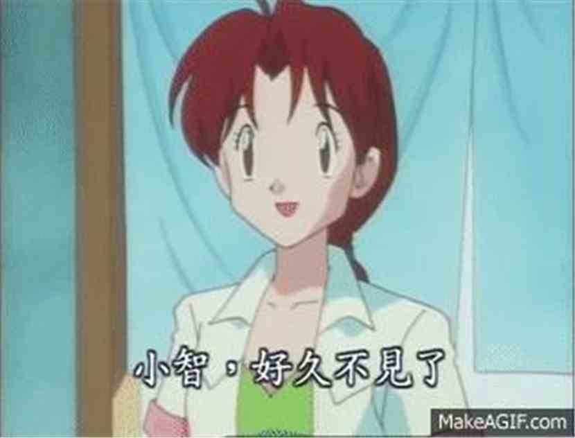 神奇宝贝之最强王者花子三