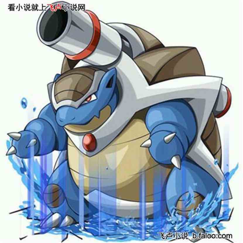 r级斗兽—水箭龟