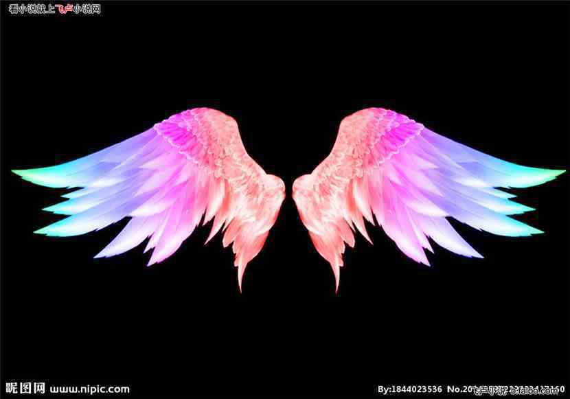 【章节】穿越综漫的魔女 天使之翼图片 免费在