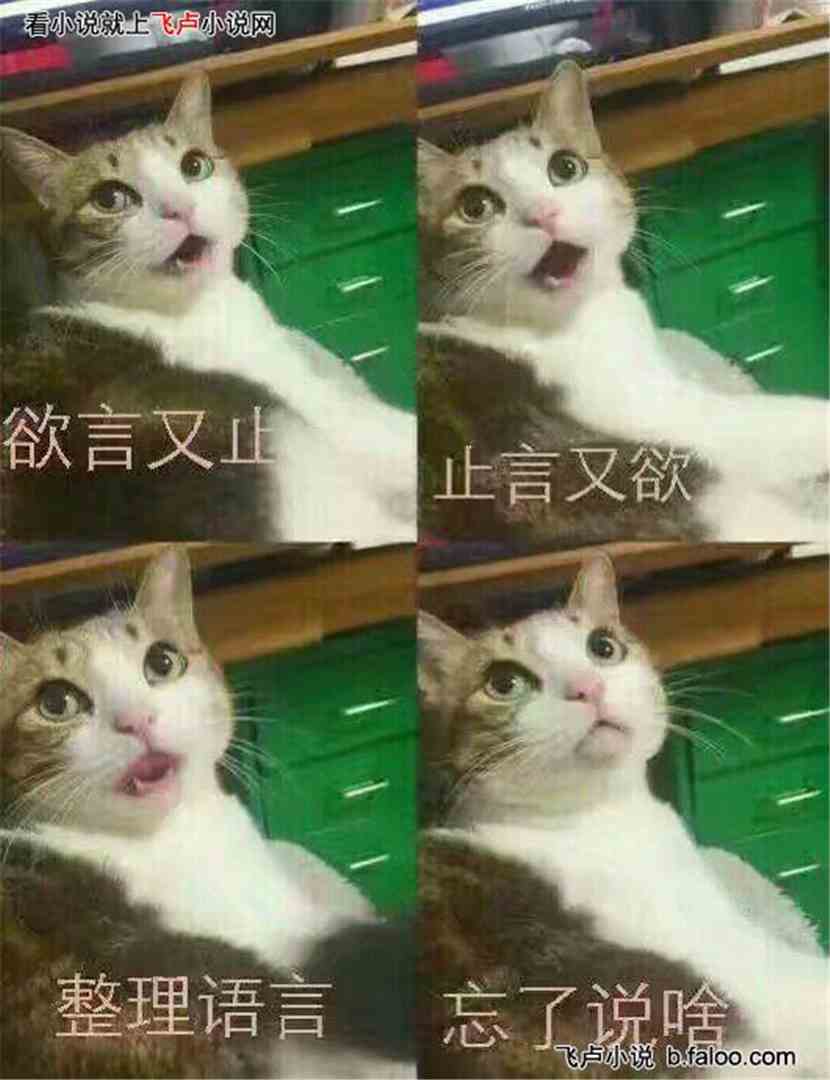 λ֮ӻ:Ҵȫ¬ûڲٵ
