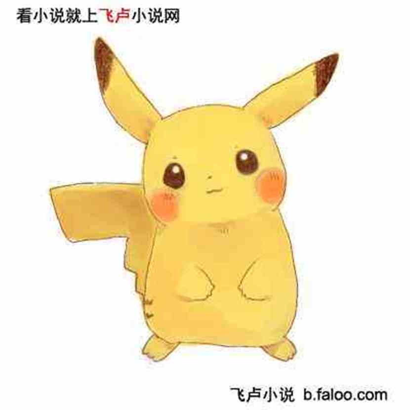 精灵时代：亿万倍经验:皮卡丘图文