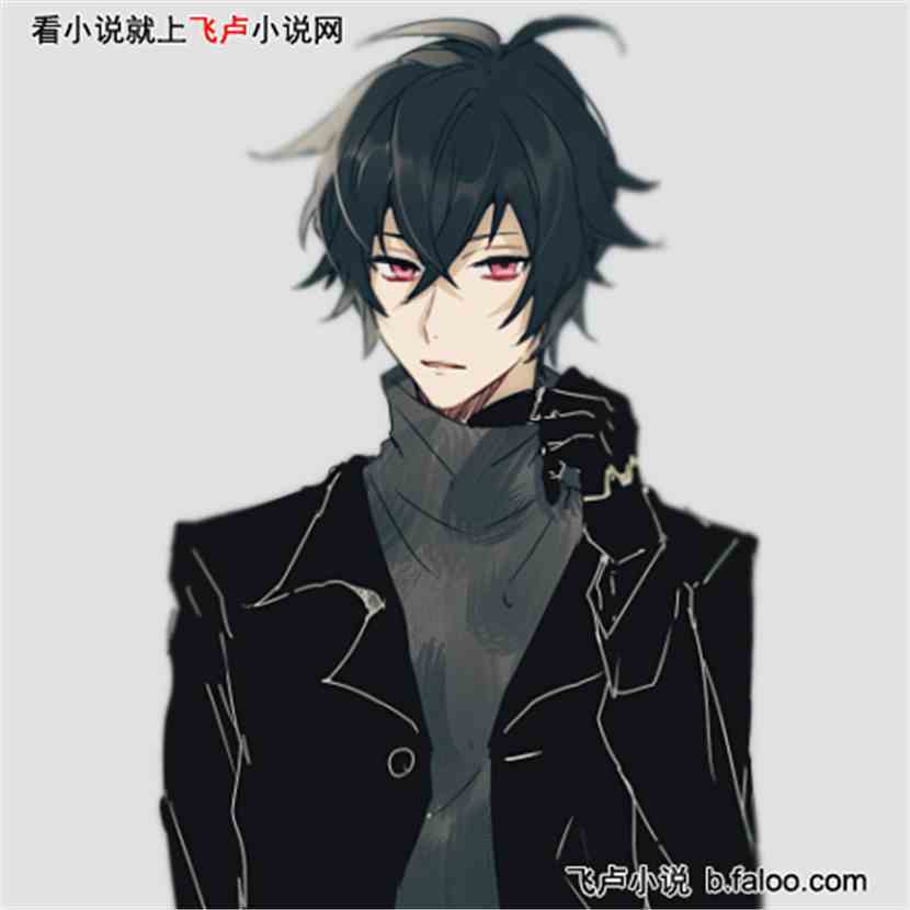 假面骑士:吾乃至尊邪皇:主角叶锋详细资料 假面骑士:吾乃至尊邪皇:主角叶锋详细资料