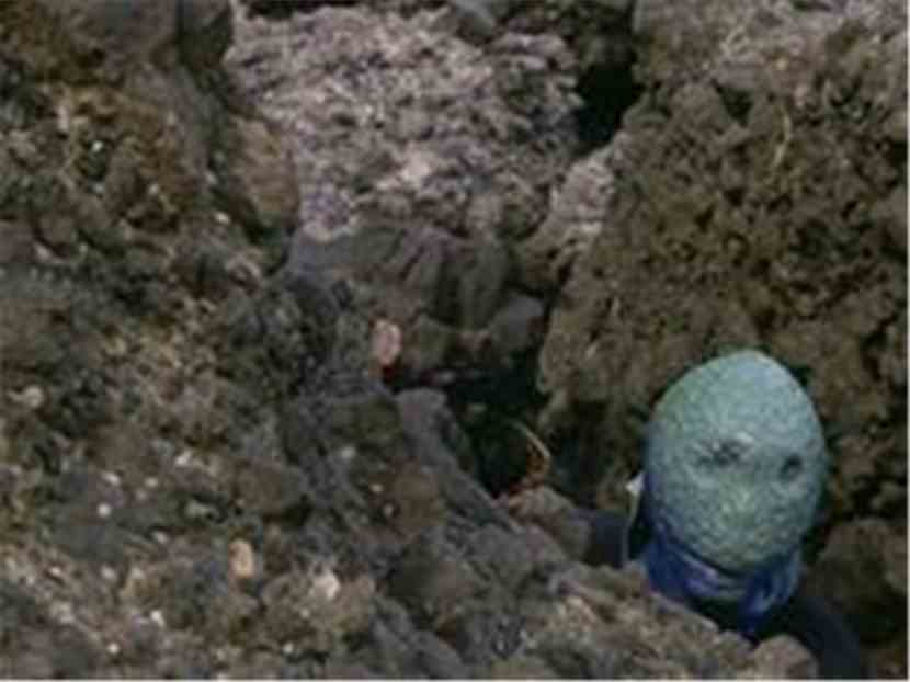 奥特之奥特曼勇者传奇:地球原人农马尔特 奥特之奥特曼勇者传奇:地球原人农马尔特