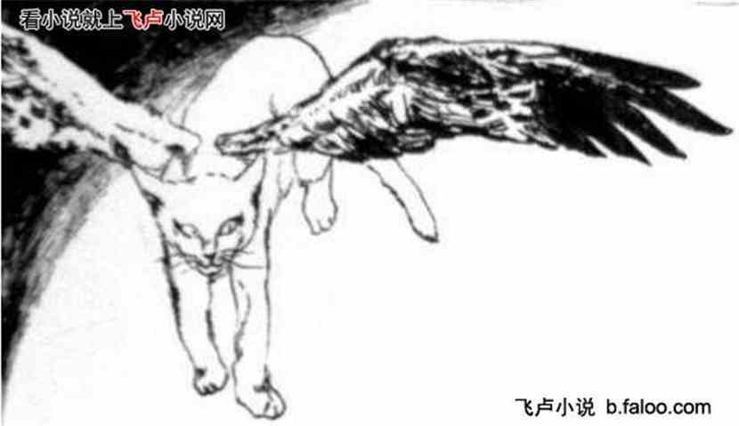 ̫꿪ʼĽ:ͼƬ̫