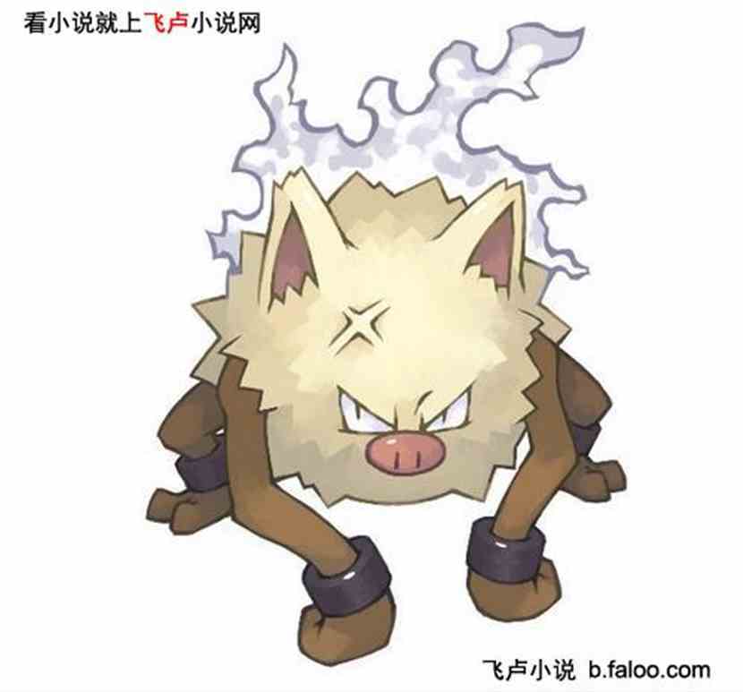 神奇宝贝之探险者之魂:火爆猴 神奇宝贝之探险者之魂:火爆猴