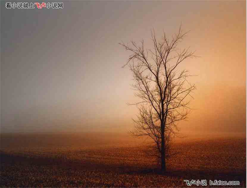 吕洞的葬礼:14哀乐响起 吕洞的葬礼:14哀乐响起