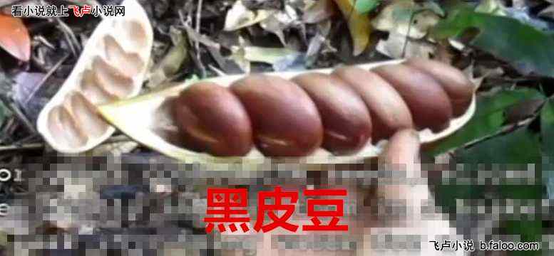 荒野之我在荒野种田:第二十六章:粮食告竭 荒野之我在荒野种田:第二十六章:粮食告竭
