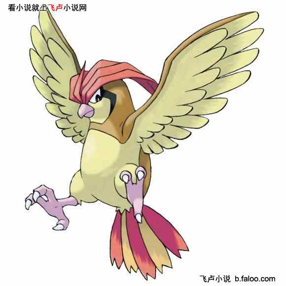 都市神奇宝贝:神兽训练师:第十六章 飞行大赛 都市神奇宝贝:神兽训练师:第十六章 飞行大赛