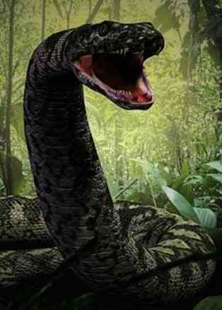 泰坦蟒vs蟒蛇 1683417.gif