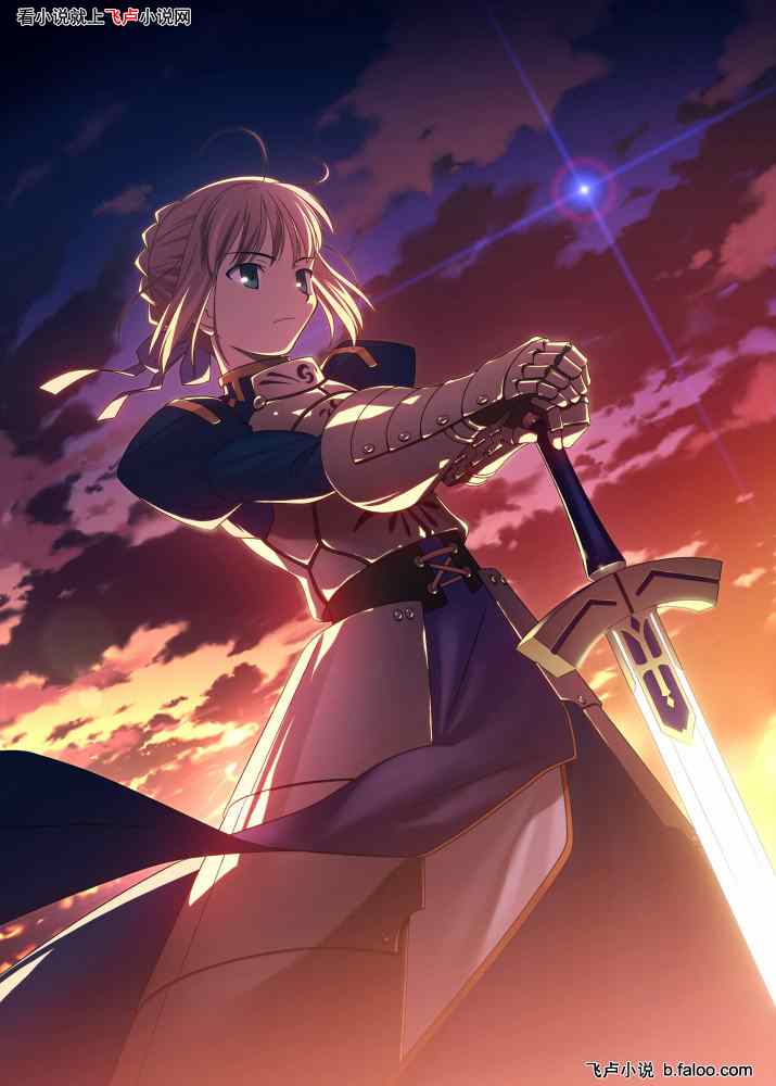 您说这是fate?:第八章王者的光彩 您说这是fate?:第八章王者的光彩