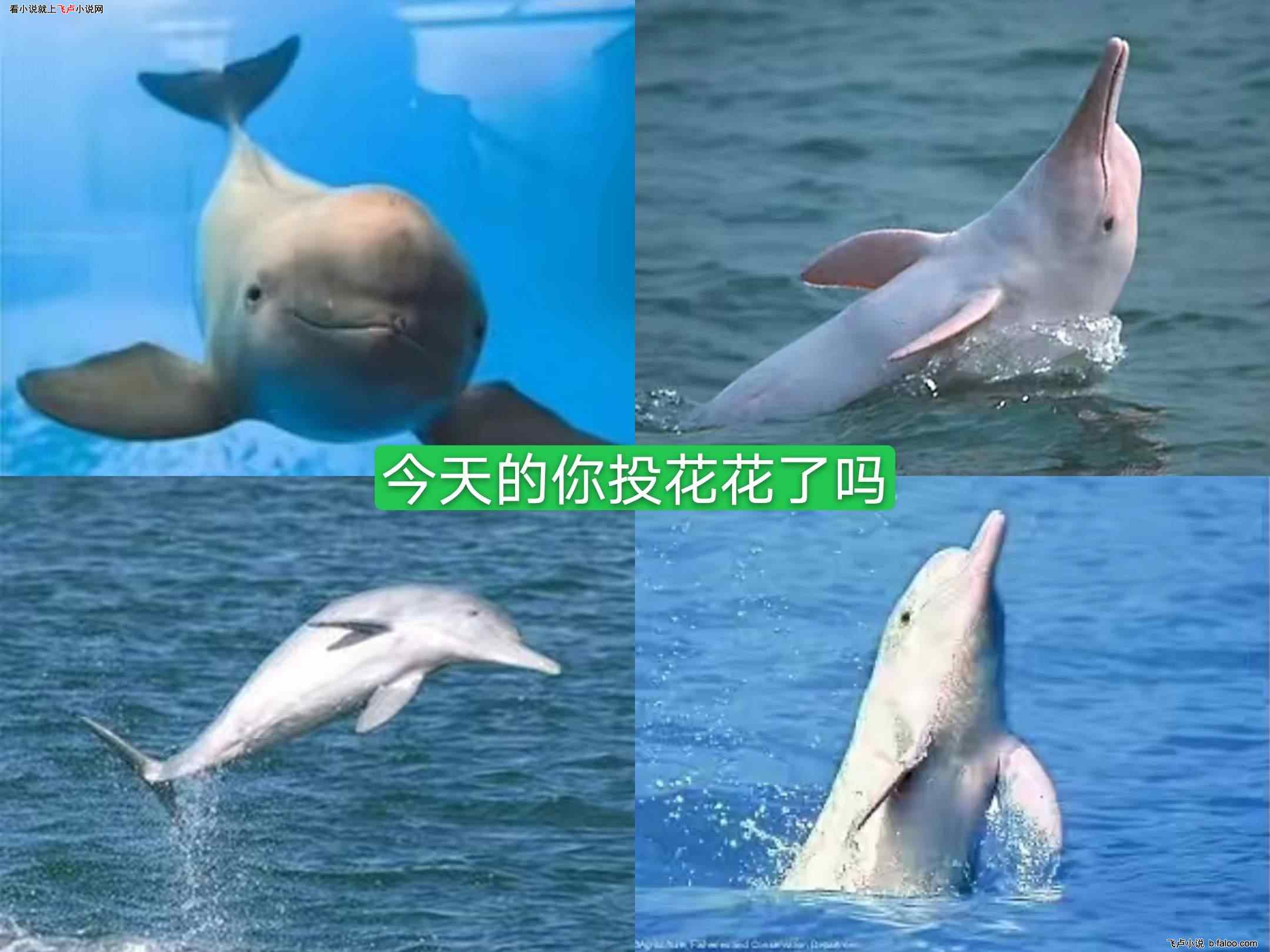 中餐厅之五岁大王:第三十二章 悄无声息的来,浩浩荡荡的离开 中餐厅之五岁大王:第三十二章 悄无声息的来,浩浩荡荡的离开