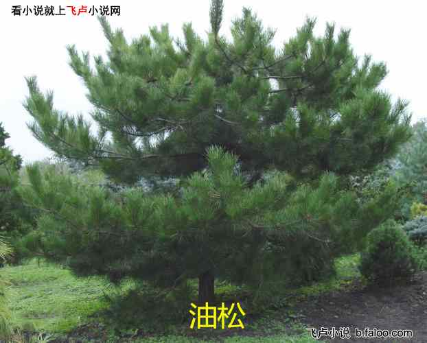 别惹蚂蚁!我家蚁后能生亿亿万:第三十三章 精神感知!气候变化带来的发展机遇(求鲜花评价票) 别惹蚂蚁!我家蚁后能生亿亿万:第三十三章 精神感知!气候变化带来的发展机遇(求鲜花评价票)