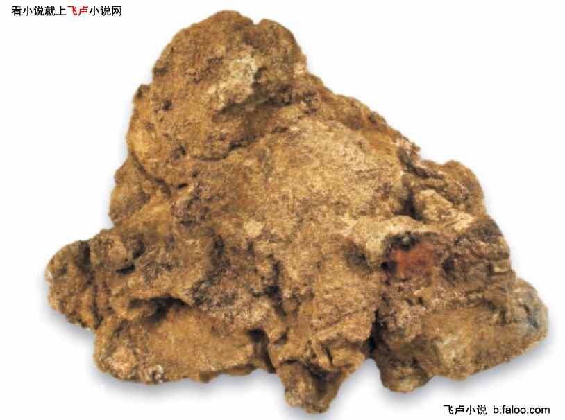 人在火影:开局成为人柱力:第二十章 : 人头大的金子见过吗? 人在火影:开局成为人柱力:第二十章 : 人头大的金子见过吗?
