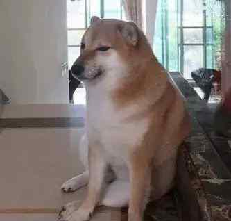 签到:从阿尔法科技开始:第三十六章:赛道异闻(求收藏) 签到:从阿尔法科技开始:第三十六章:赛道异闻(求收藏)