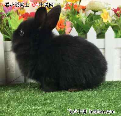 һ˼¼Ƭַлѩ:19.ò밮7/ʻۣ