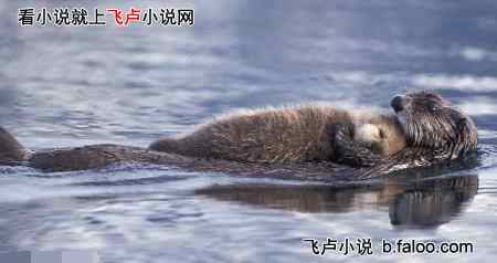 м¼Ƭ񱦱:18¸񱦱ˮ̡ѧӾ