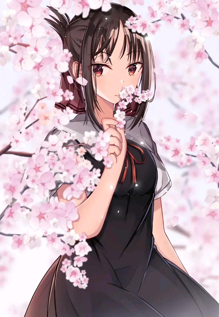 综漫:开局救龙女仆,邻居珈百璃:第030章 一去不返的时光,如此耀眼! 综漫:开局救龙女仆,邻居珈百璃:第030章 一去不返的时光,如此耀眼!