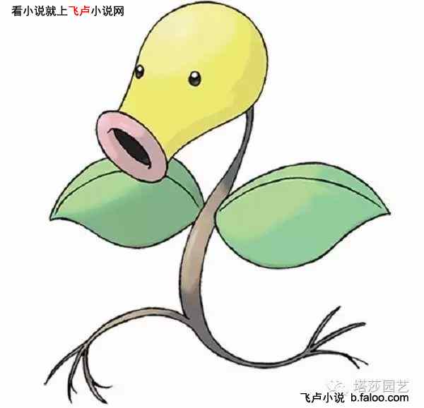 精灵:开局召唤幻兽胡帕:第13章 水水濑的特训(一更,恢复正常更新) 精灵:开局召唤幻兽胡帕:第13章 水水濑的特训(一更,恢复正常更新)