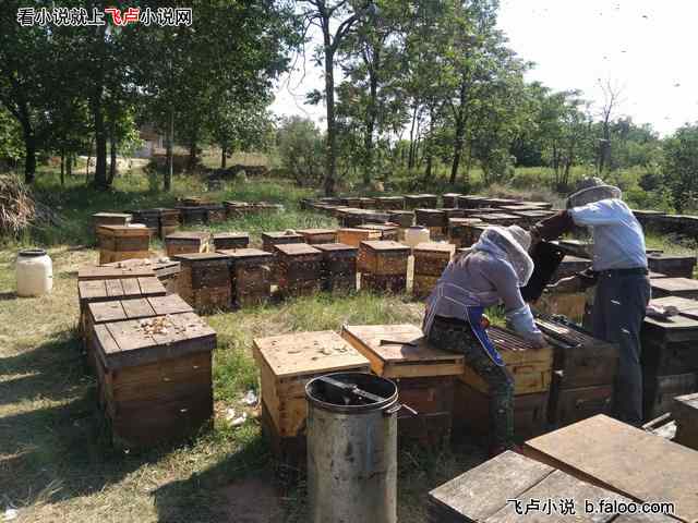 乡野直播:我回兴安岭养娃了:047. 天然雪蜜——椴树蜜,苏彬义助养蜂人 乡野直播:我回兴安岭养娃了:047. 天然雪蜜——椴树蜜,苏彬义助养蜂人