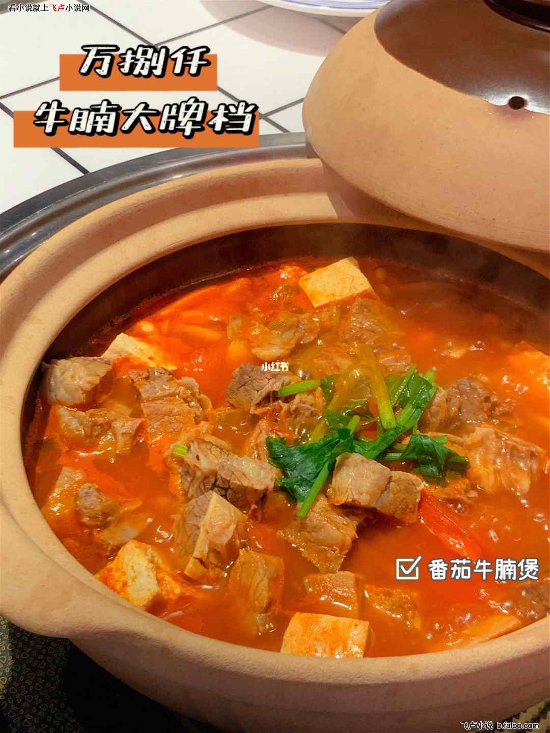 美食:从一盘臭豆腐开始征服世界:56 西红柿焖牛腩!人生一串,大口满足!求数据! 美食:从一盘臭豆腐开始征服世界:56 西红柿焖牛腩!人生一串,大口满足!求数据!