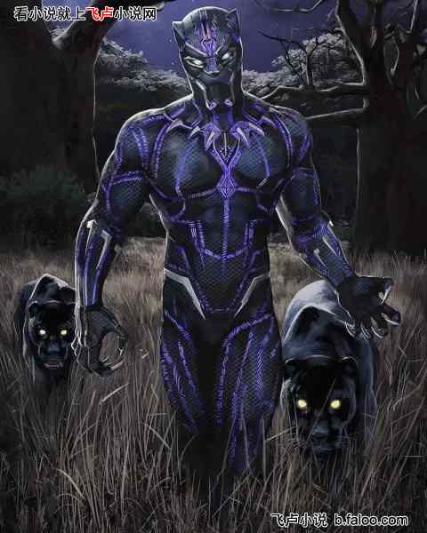 美漫:从黑袍纠察队开始制霸宇宙:第十六章:答案,那个神秘的地方,瓦坎达! 美漫:从黑袍纠察队开始制霸宇宙:第十六章:答案,那个神秘的地方,瓦坎达!