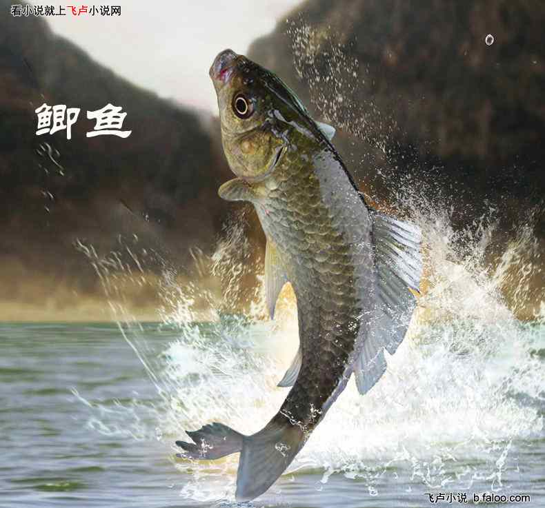 都市:我凭钓鱼收获万物:第十三章 歪招,挂条大鱼吓小鱼 都市:我凭钓鱼收获万物:第十三章 歪招,挂条大鱼吓小鱼