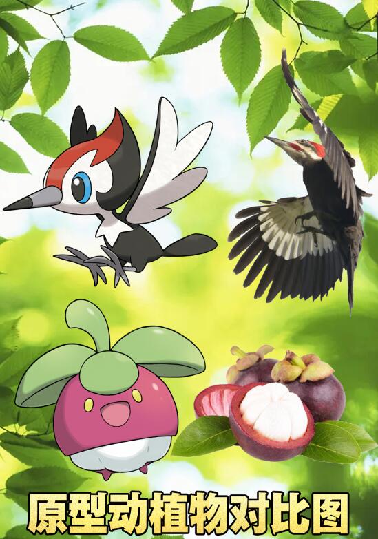 ¼Ƭֿյ:031 תԾұ~Ʊ