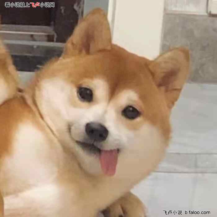 ȫѣÿһ:һЩл