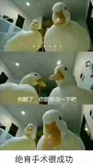 ҰֱֲҰУ:ڶʮ ˣܳɹʻƱͣƱ߸