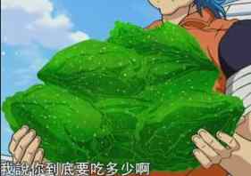我在光之国混日子:杏仁卷心菜 我在光之国混日子:杏仁卷心菜