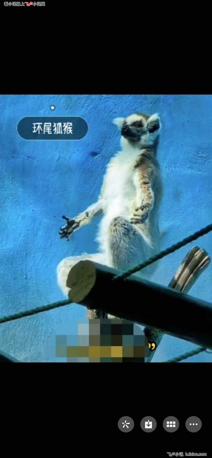直播:金渐层是我保镖:第二十章:大仙儿渡劫? 直播:金渐层是我保镖:第二十章:大仙儿渡劫?