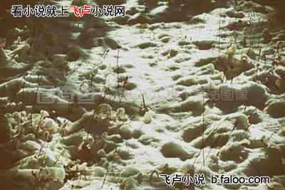 火星奇遇记:第54章 蛇养心毒计频频 火星队克难攻坚 火星奇遇记:第54章 蛇养心毒计频频 火星队克难攻坚