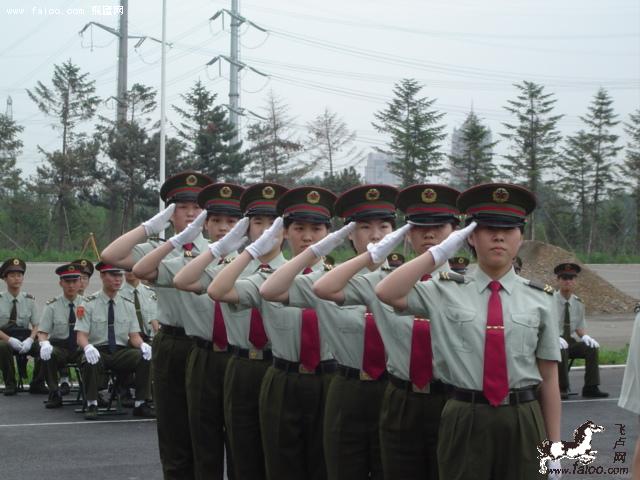 [囧]通信营女兵队列考核点:489