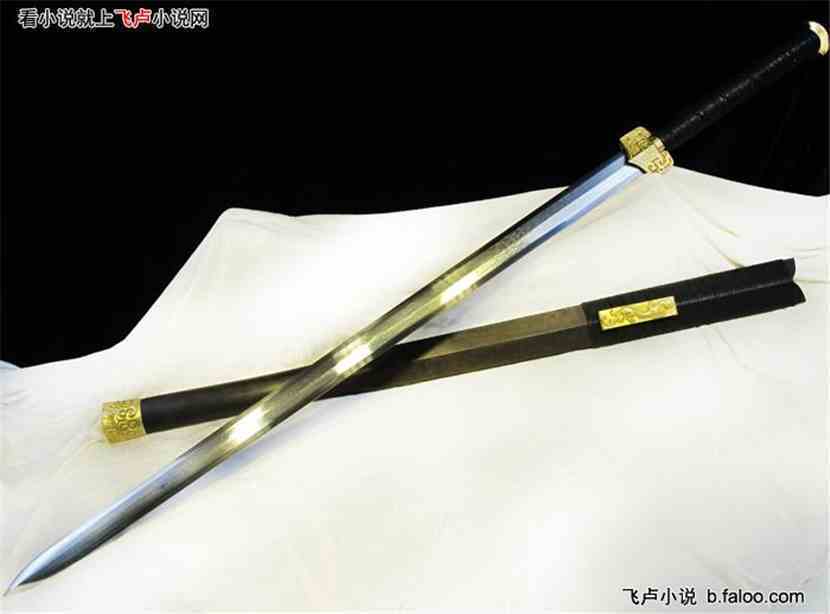 二次元之噬天龙祖 主角用剑