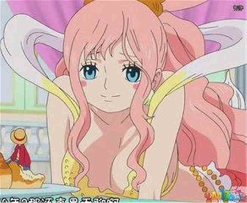 海贼王之金屋藏娇:白星图文