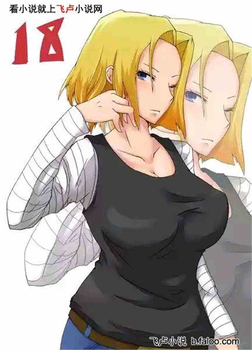 龙珠超之最强撒旦:第十七章 偶遇十八号【求鲜花收藏票票】图文