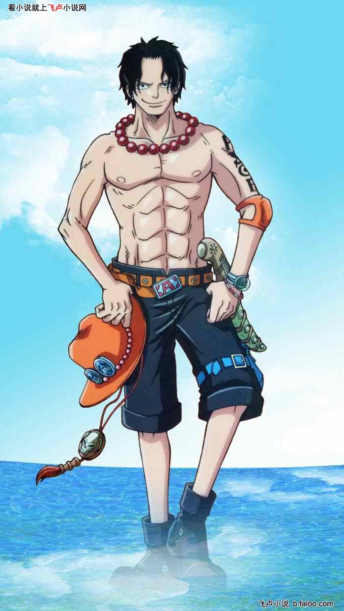 我艾斯要当海贼王:第一章 和之国图文