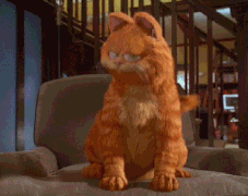 加菲猫动画片表情包图片